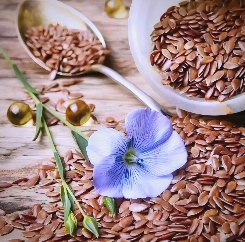 China Flaxseed (Linseed) Extract & Dehull Factory 2 Flaxseed (linseed) products manufacturer