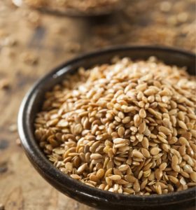 Is Flaxseed a Prebiotic