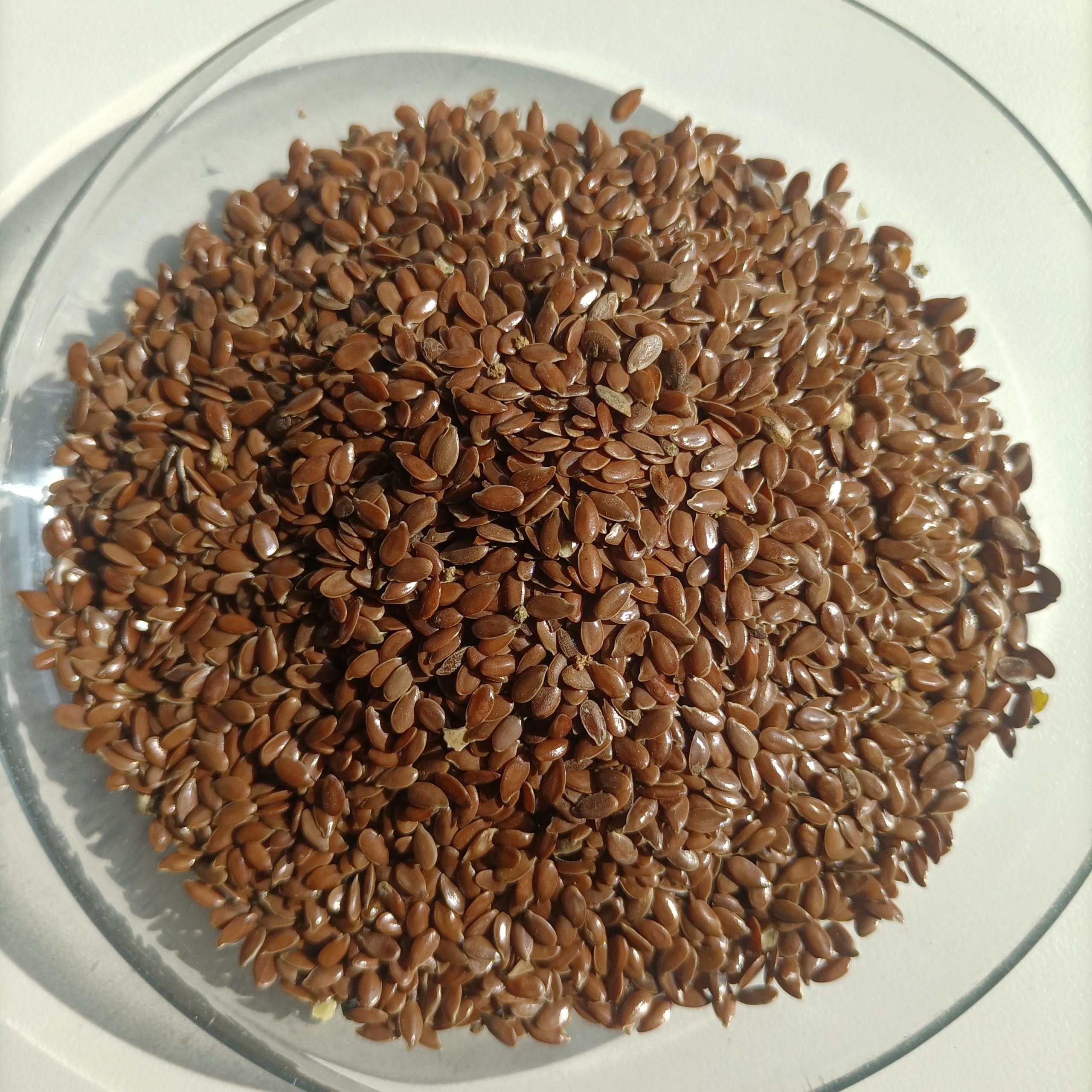 Flaxseeds Bulk Sale From Inner Mongolia China Flaxseed (Linseed) Extract & Dehull Factory Flaxseed (Linseed) Hull, Kernel, Powder, Oil Factory flaxseed bulk sale
