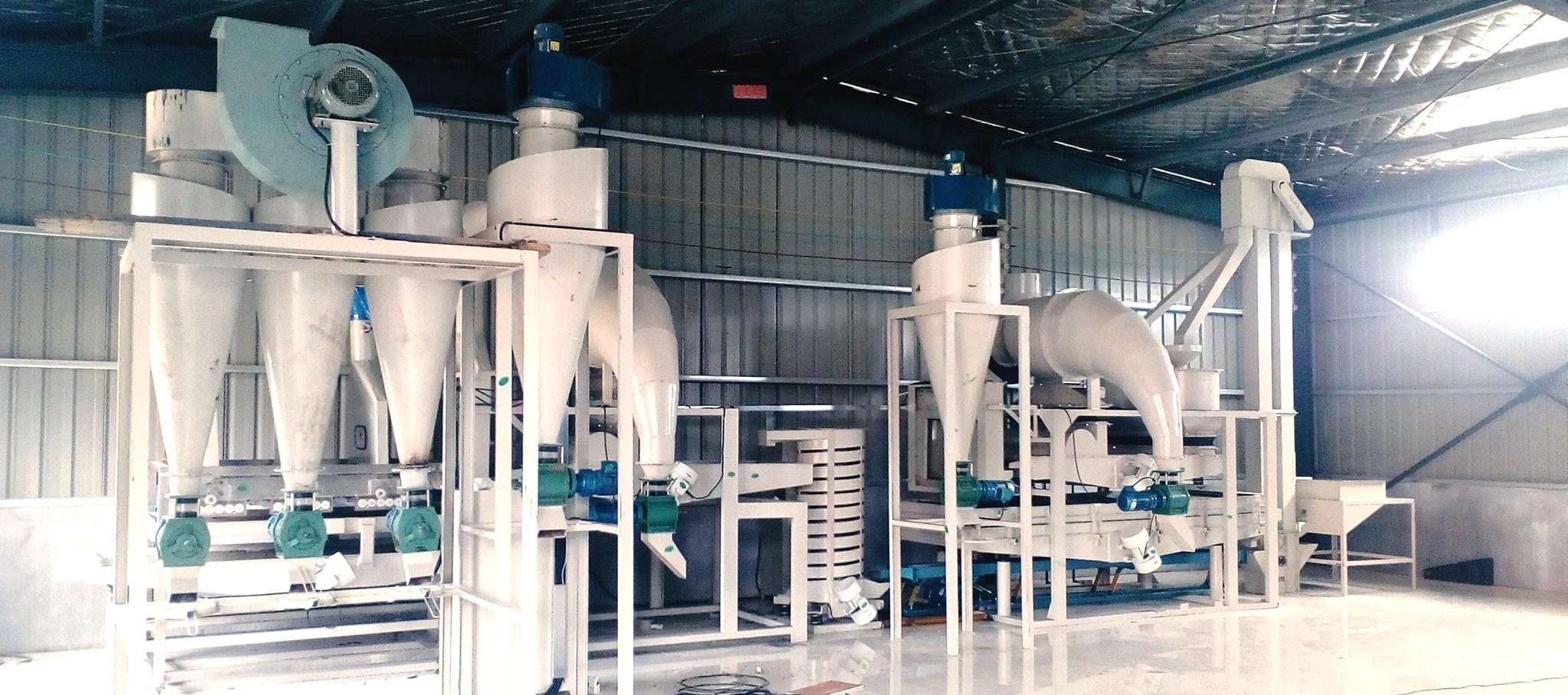 Flaxseed (Linseed) Products