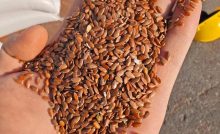 Is Flaxseed High in Oxalates
