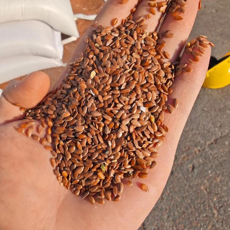 Is Flaxseed High in Oxalates