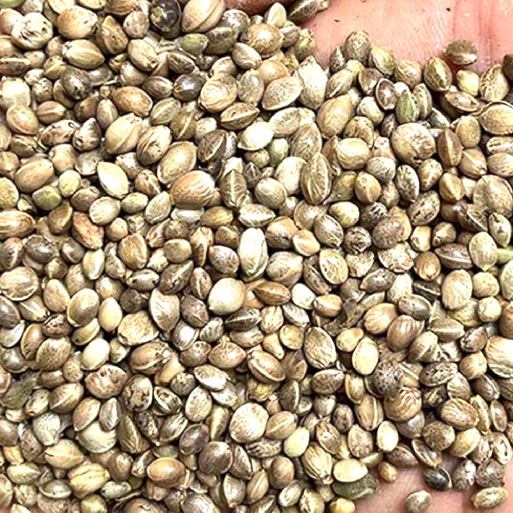 flaxseed vs hemp seed