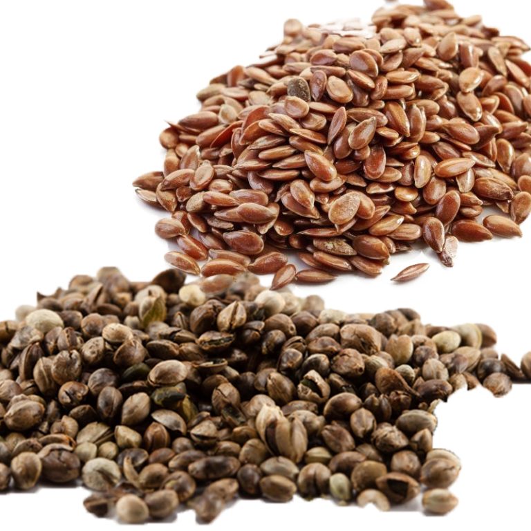 flaxseed vs hemp seed picture